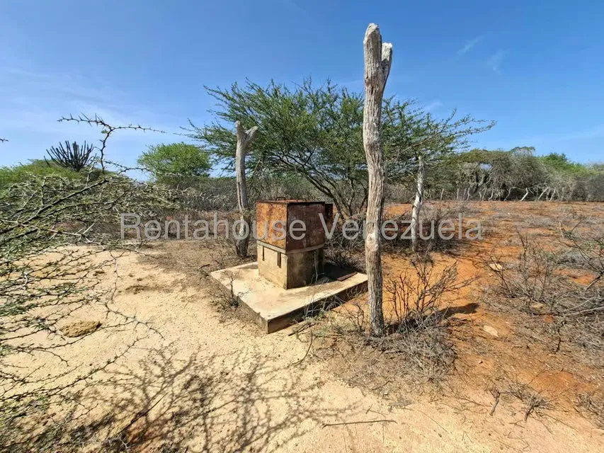 Terreno (Finca) en Venta en Pueblo Nuevo, Falcon - 19