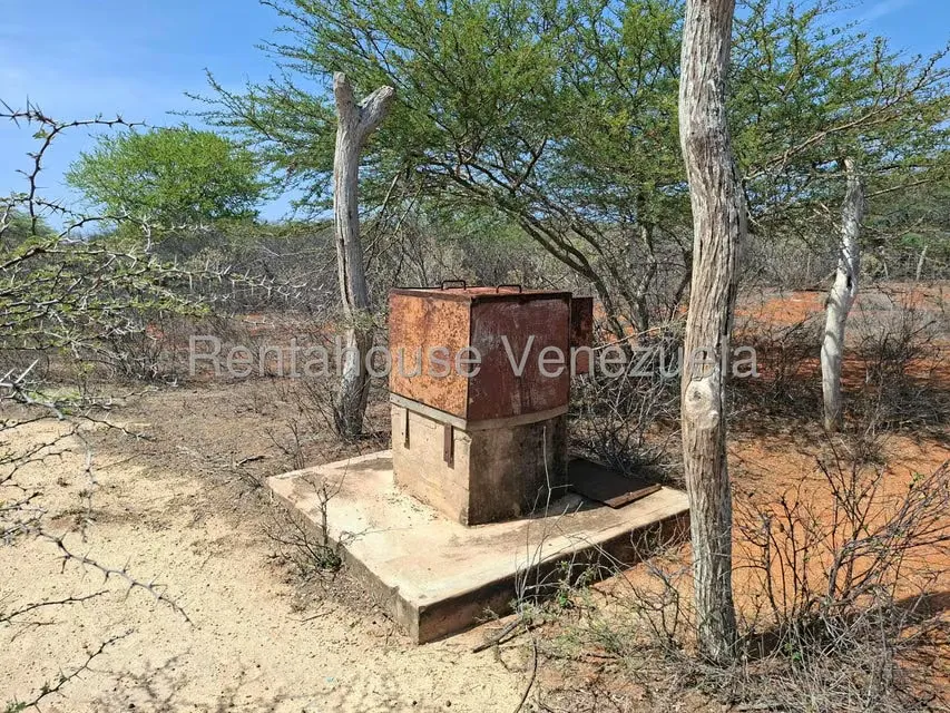 Terreno (Finca) en Venta en Pueblo Nuevo, Falcon - 20