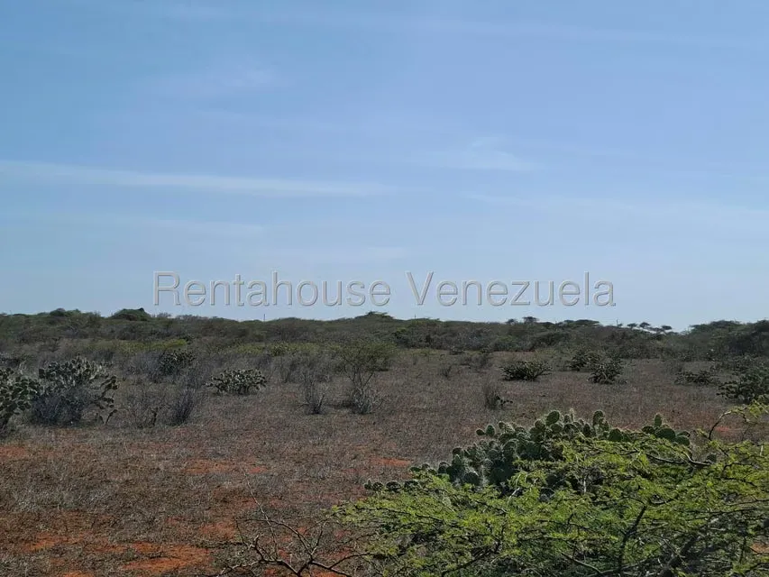 Terreno (Finca) en Venta en Pueblo Nuevo, Falcon - 21