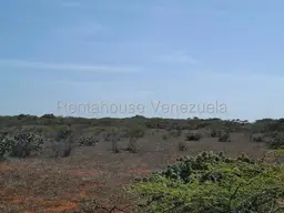 Vista 21