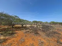 Vista 22