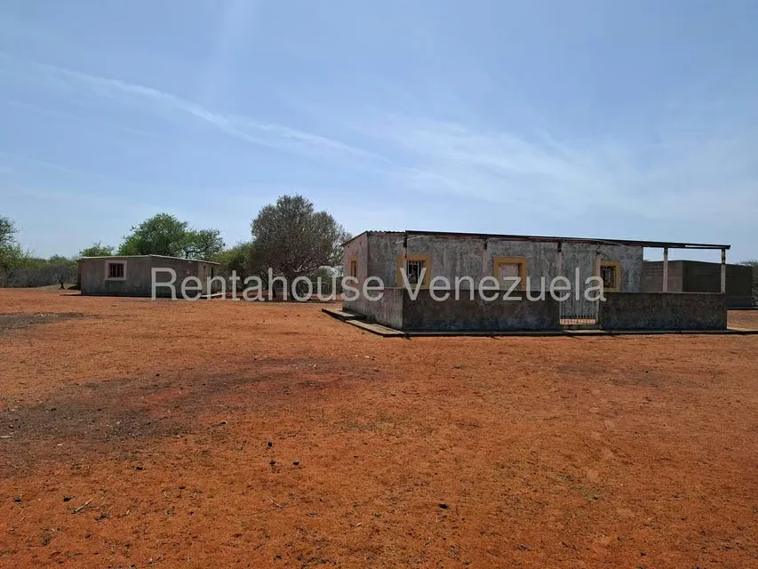 Terreno (Finca) en Venta en Pueblo Nuevo, Falcon - 4