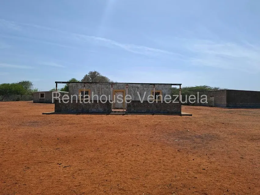 Terreno (Finca) en Venta en Pueblo Nuevo, Falcon - 6