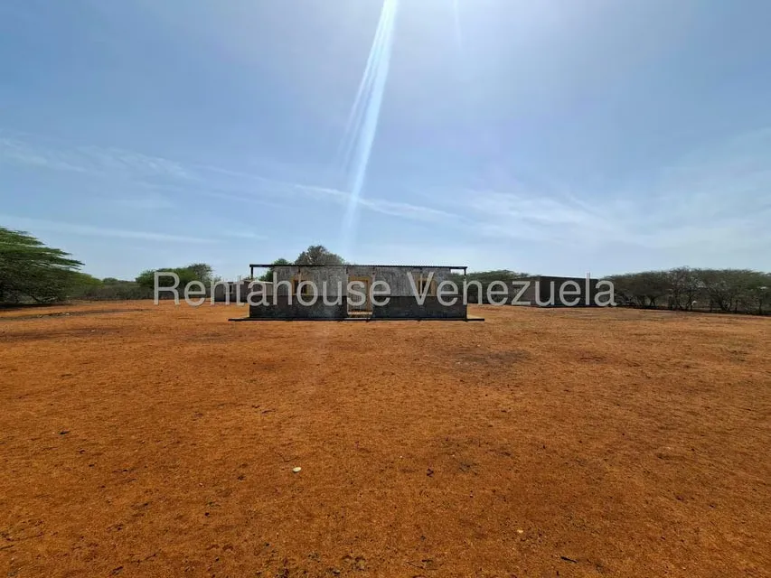 Terreno (Finca) en Venta en Pueblo Nuevo, Falcon - 7