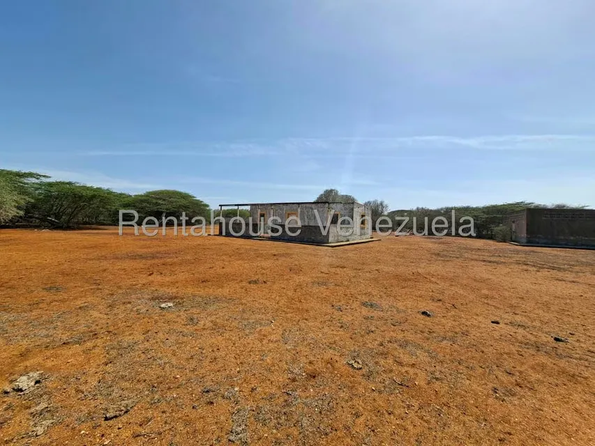 Terreno (Finca) en Venta en Pueblo Nuevo, Falcon - 8