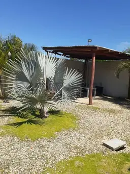 View 8
