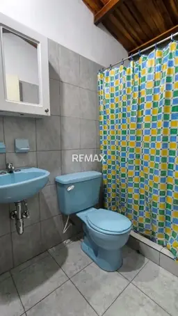 Vista 5