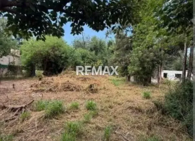 TERRENO EN VENTA EN PREGONERO