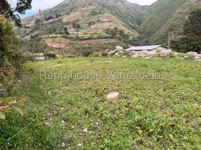 Terreno (Finca) en Venta en Cacute, Merida