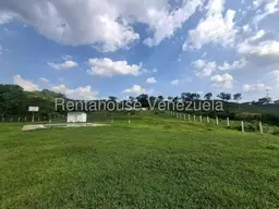 Vista 33