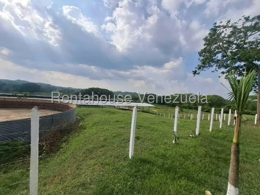 Casa (1 Nivel) en Venta en Asentamiento Campesino Embalse Cabuy, Yaracuy - 36