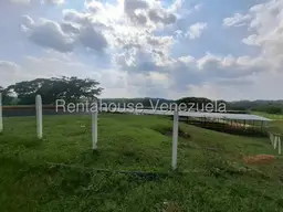Vista 37