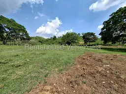 Vista 43