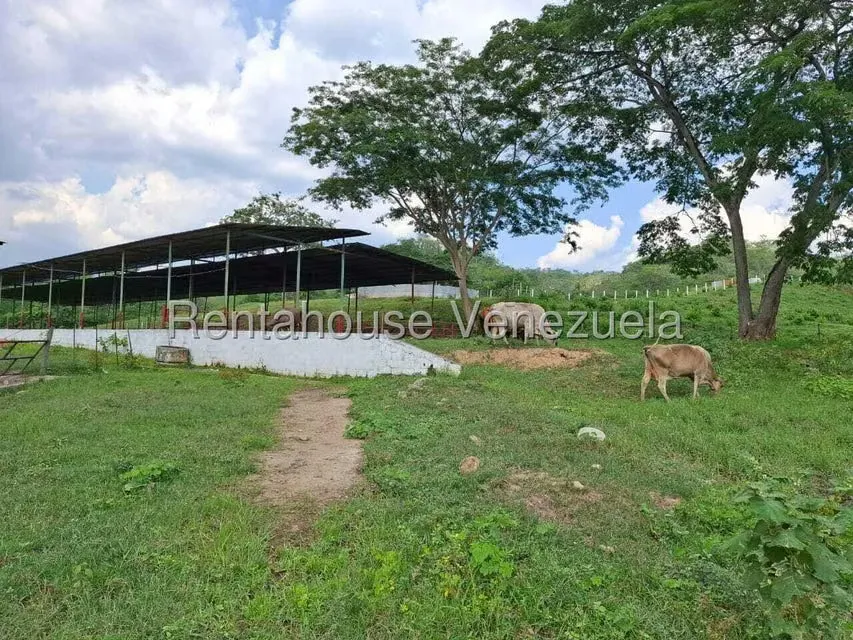 Casa (1 Nivel) en Venta en Asentamiento Campesino Embalse Cabuy, Yaracuy - 44