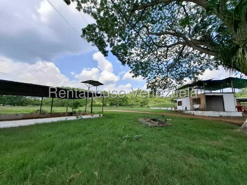Casa (1 Nivel) en Venta en Asentamiento Campesino Embalse Cabuy, Yaracuy - 46