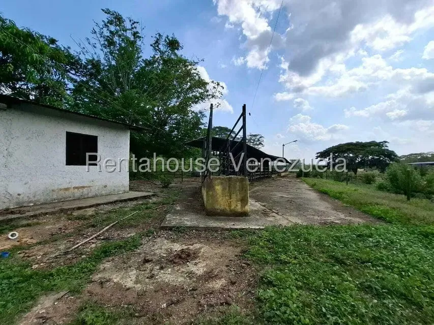 Casa (1 Nivel) en Venta en Asentamiento Campesino Embalse Cabuy, Yaracuy - 47