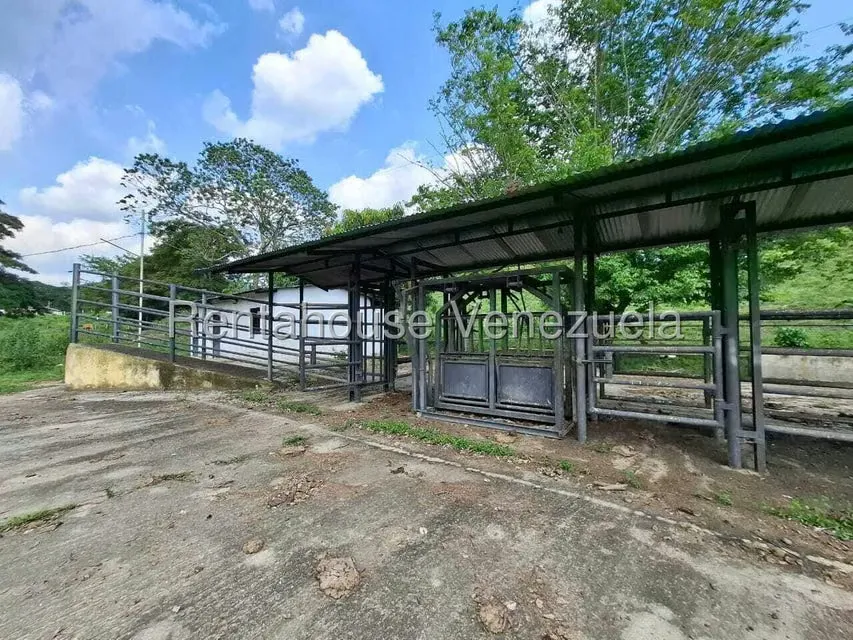 Casa (1 Nivel) en Venta en Asentamiento Campesino Embalse Cabuy, Yaracuy - 48