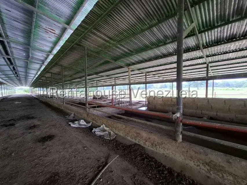 Casa (1 Nivel) en Venta en Asentamiento Campesino Embalse Cabuy, Yaracuy - 51