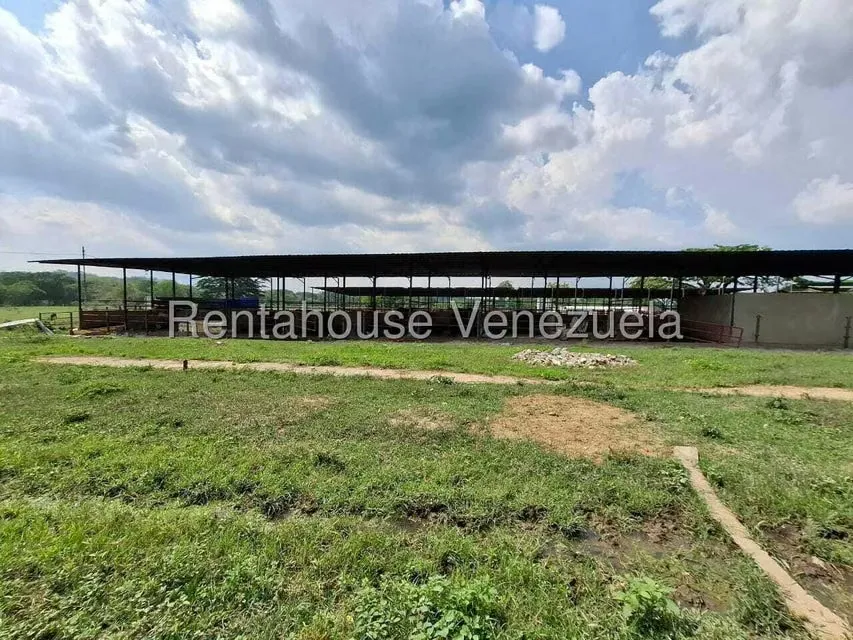 Casa (1 Nivel) en Venta en Asentamiento Campesino Embalse Cabuy, Yaracuy - 53