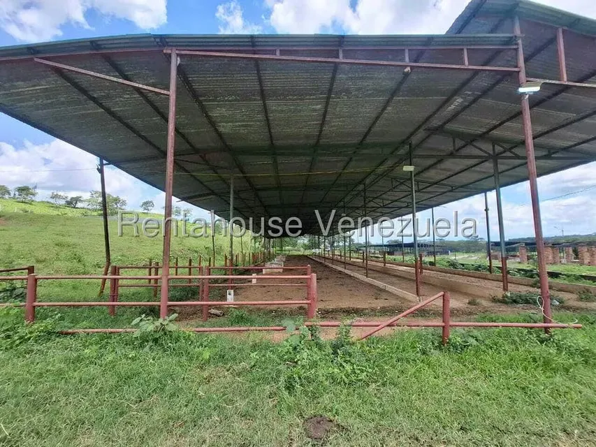 Casa (1 Nivel) en Venta en Asentamiento Campesino Embalse Cabuy, Yaracuy - 54