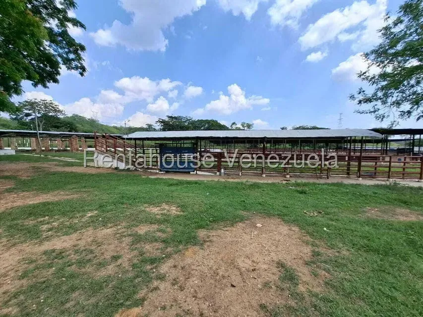 Casa (1 Nivel) en Venta en Asentamiento Campesino Embalse Cabuy, Yaracuy - 56