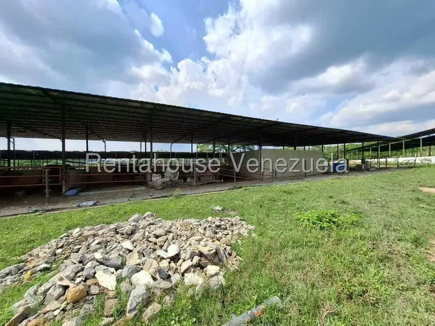 Casa (1 Nivel) en Venta en Asentamiento Campesino Embalse Cabuy, Yaracuy - 58
