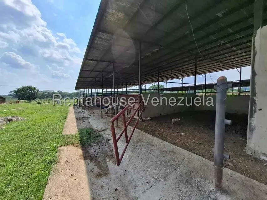 Casa (1 Nivel) en Venta en Asentamiento Campesino Embalse Cabuy, Yaracuy - 59