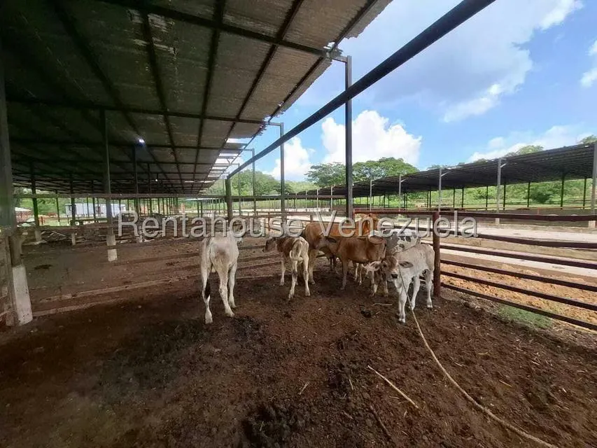 Casa (1 Nivel) en Venta en Asentamiento Campesino Embalse Cabuy, Yaracuy - 60