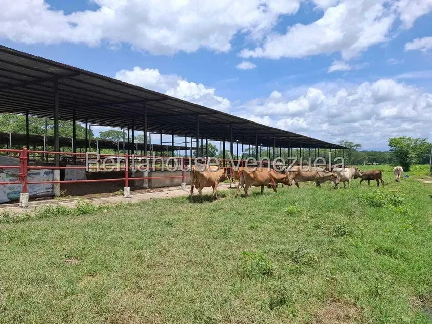 Casa (1 Nivel) en Venta en Asentamiento Campesino Embalse Cabuy, Yaracuy - 63