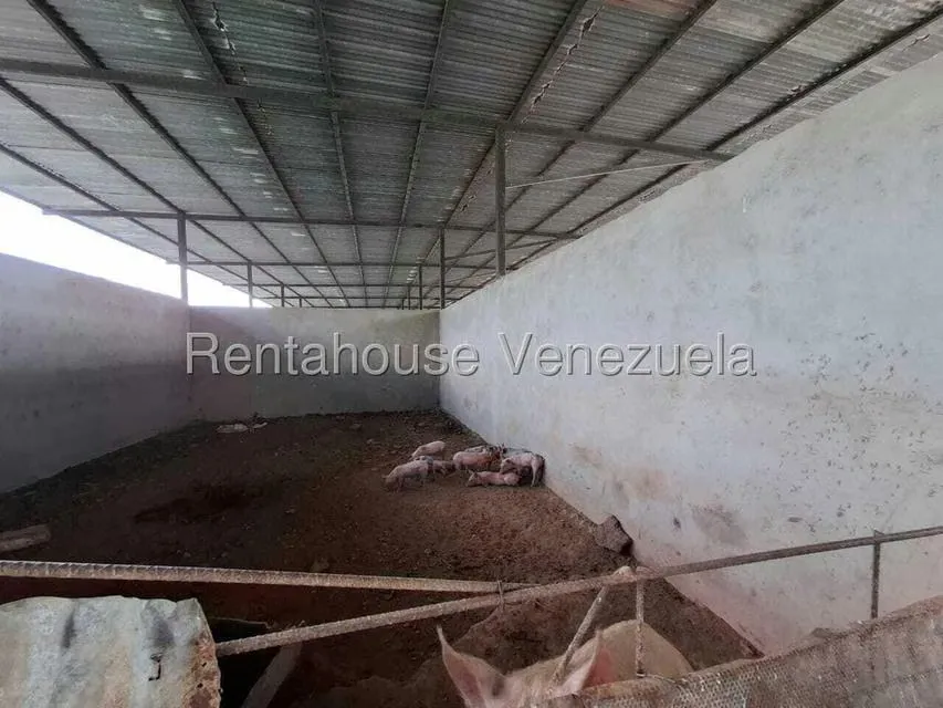 Casa (1 Nivel) en Venta en Asentamiento Campesino Embalse Cabuy, Yaracuy - 65