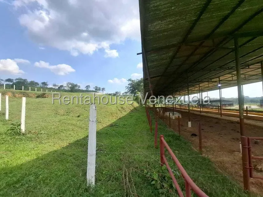 Casa (1 Nivel) en Venta en Asentamiento Campesino Embalse Cabuy, Yaracuy - 67