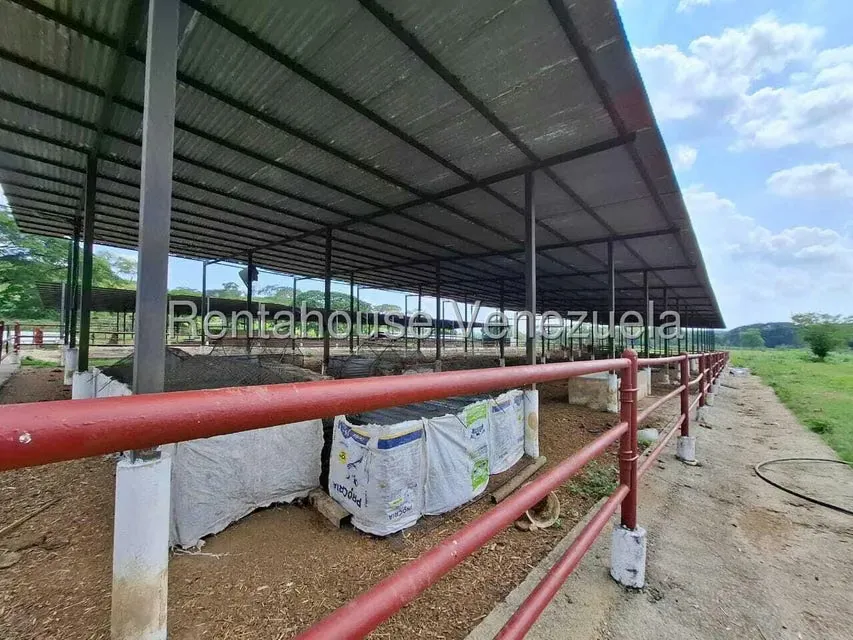Casa (1 Nivel) en Venta en Asentamiento Campesino Embalse Cabuy, Yaracuy - 68