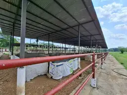 Vista 68