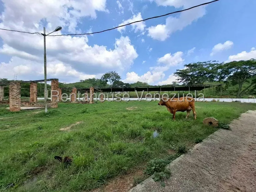 Casa (1 Nivel) en Venta en Asentamiento Campesino Embalse Cabuy, Yaracuy - 69