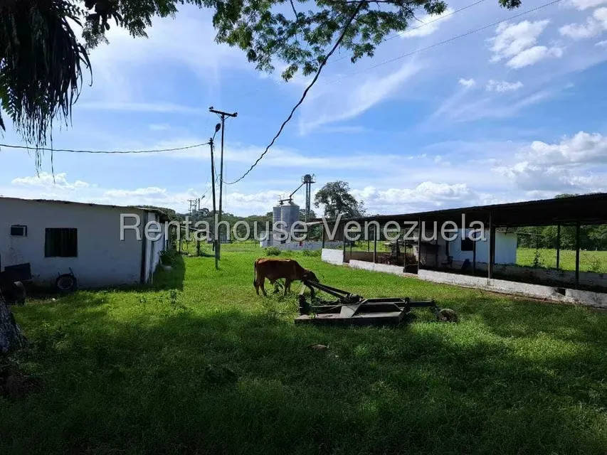 Casa (1 Nivel) en Venta en Asentamiento Campesino Embalse Cabuy, Yaracuy - 72