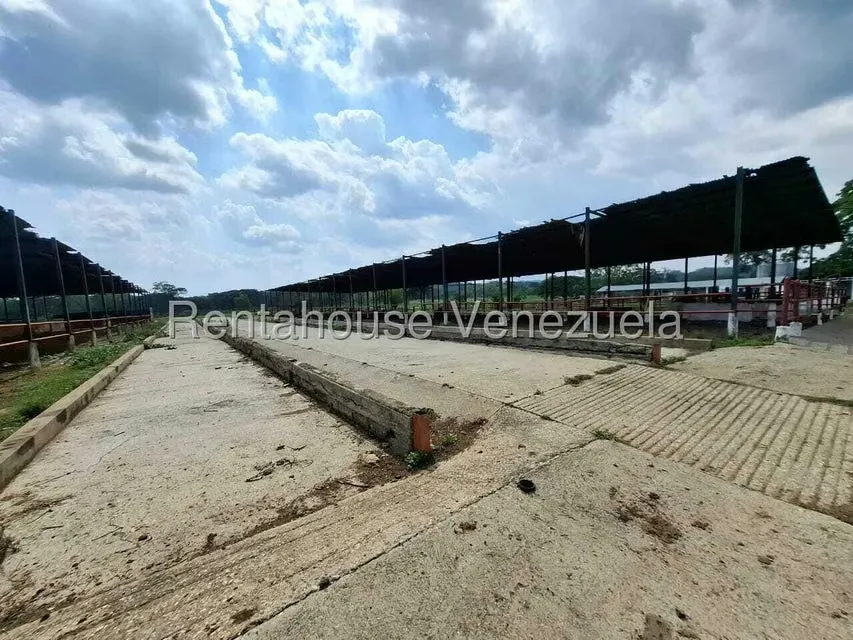 Casa (1 Nivel) en Venta en Asentamiento Campesino Embalse Cabuy, Yaracuy - 81