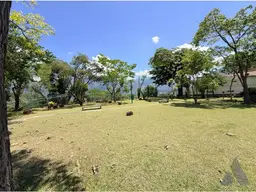 View 43