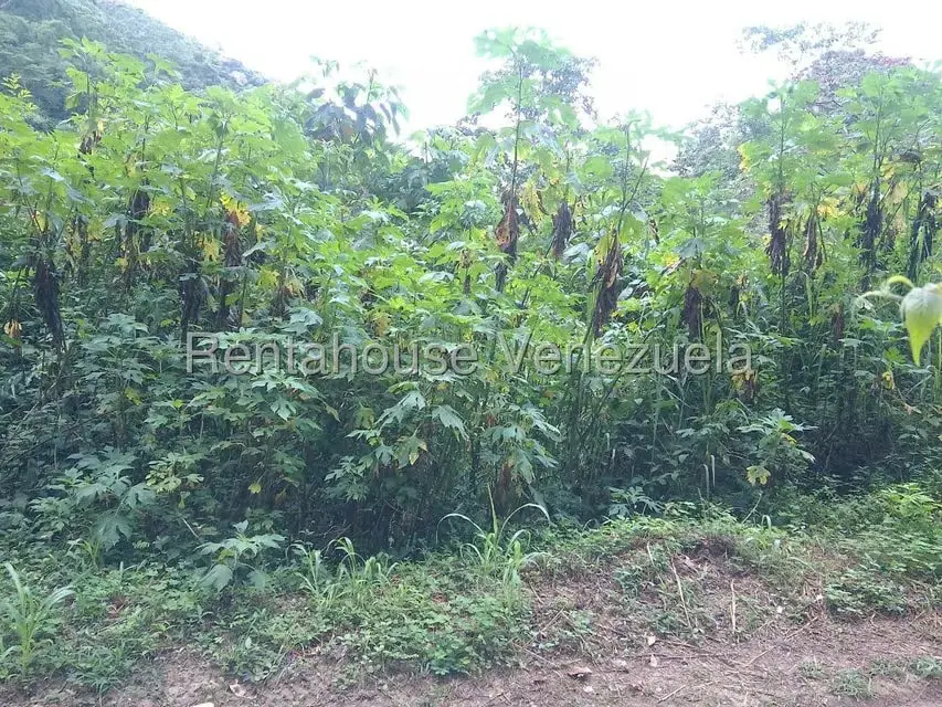 Terreno (Residencial) en Venta en El Hatillo, Distrito Metropolitano