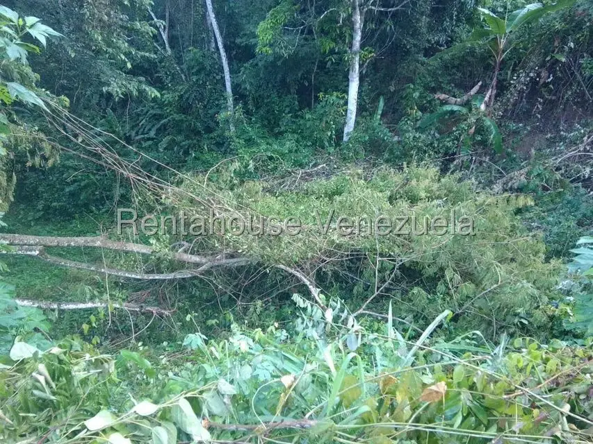 Terreno (Residencial) en Venta en El Hatillo, Distrito Metropolitano - 14