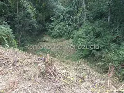 View 15