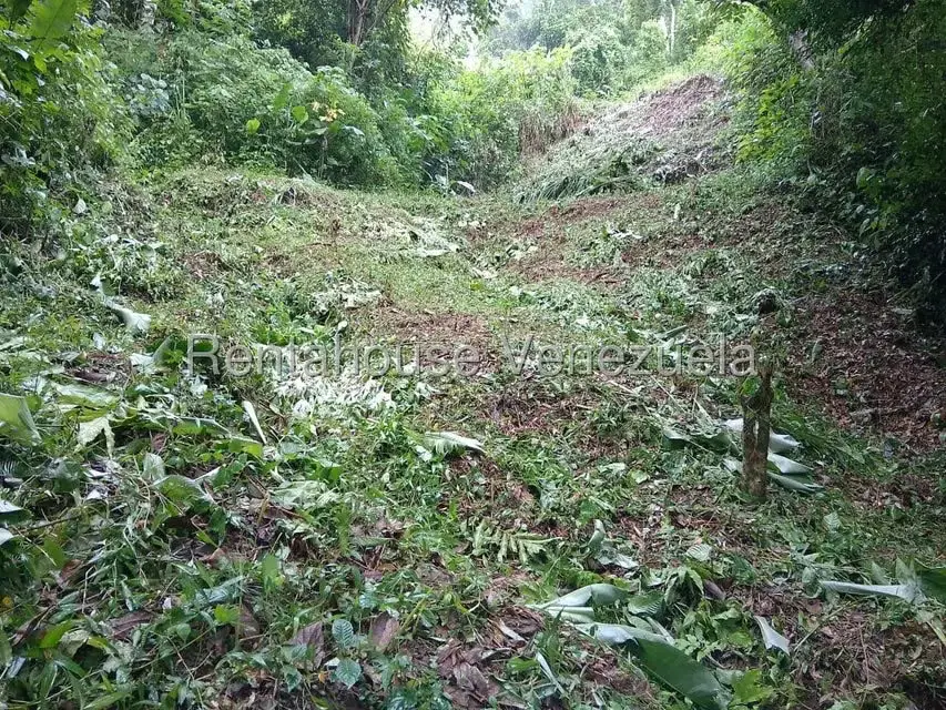 Terreno (Residencial) en Venta en El Hatillo, Distrito Metropolitano - 3