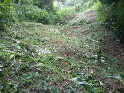 View 3