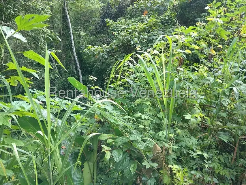 Terreno (Residencial) en Venta en El Hatillo, Distrito Metropolitano - 4
