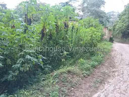 View 5