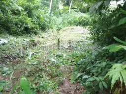 View 6