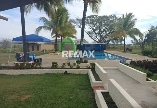 Venta de Parcela 9 hectareas Aguirre Edo Carabobo - 3