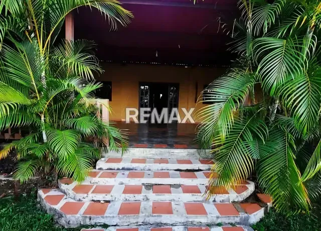 Venta de Parcela 9 hectareas Aguirre Edo Carabobo - 5