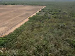 Vista 3