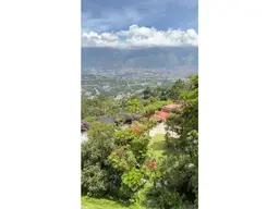 View 21