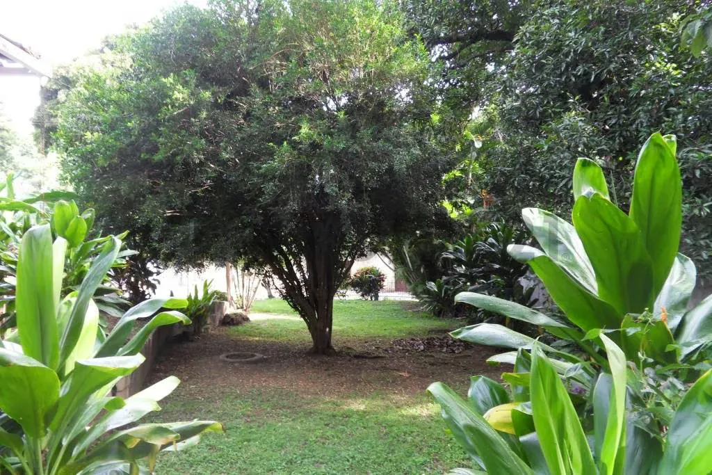 Terreno en venta en Los Chorros, con un área aproximada de 3.240m2 AH - 10